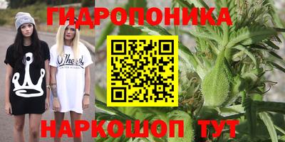 гидра Конаково