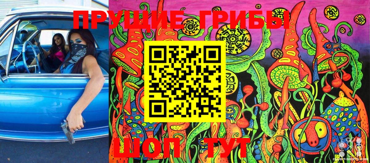 дарнет шоп  Галлюциногенные грибы GOLDEN TEACHER  Вход с VPN  Когалым 